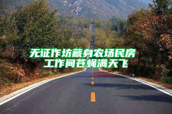 無(wú)證作坊藏身農(nóng)場(chǎng)民房 工作間蒼蠅滿天飛