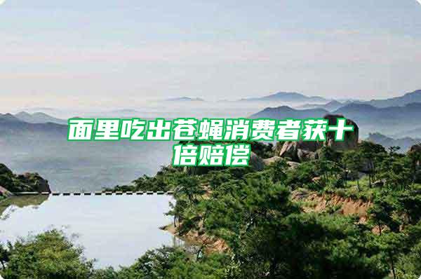 面里吃出蒼蠅消費(fèi)者獲十倍賠償