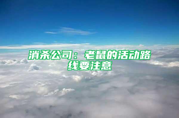 消殺公司：老鼠的活動路線要注意