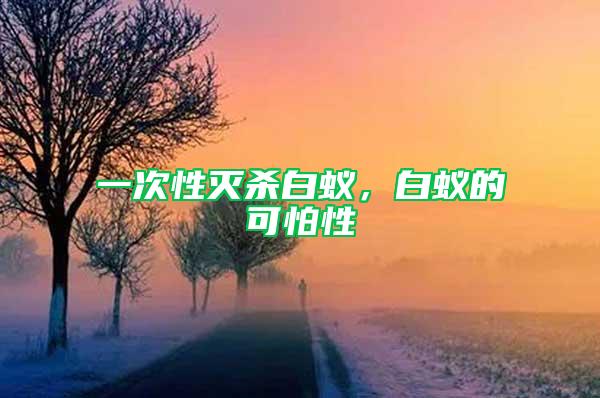 一次性滅殺白蟻，白蟻的可怕性