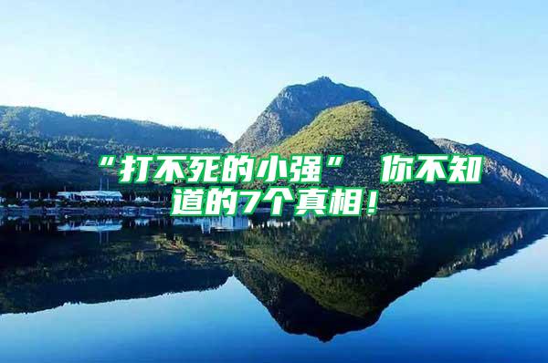 “打不死的小強” 你不知道的7個真相！