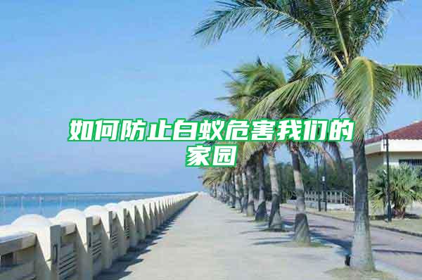 如何防止白蟻危害我們的家園