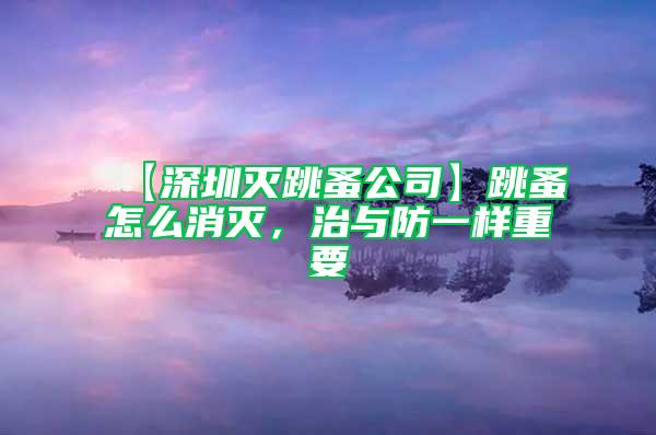 【深圳滅跳蚤公司】跳蚤怎么消滅，治與防一樣重要