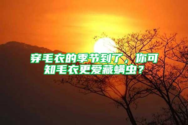 穿毛衣的季節(jié)到了，你可知毛衣更愛(ài)藏螨蟲？