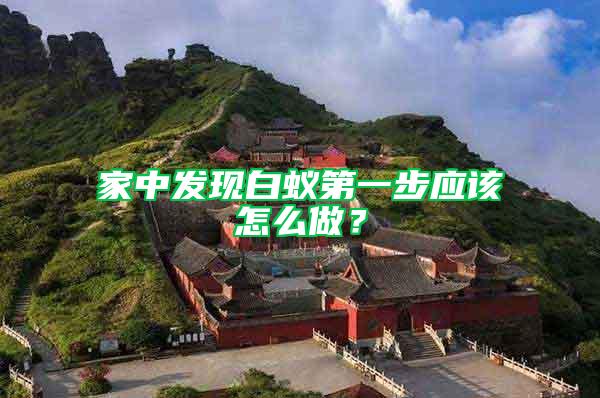 家中發(fā)現(xiàn)白蟻第一步應該怎么做？