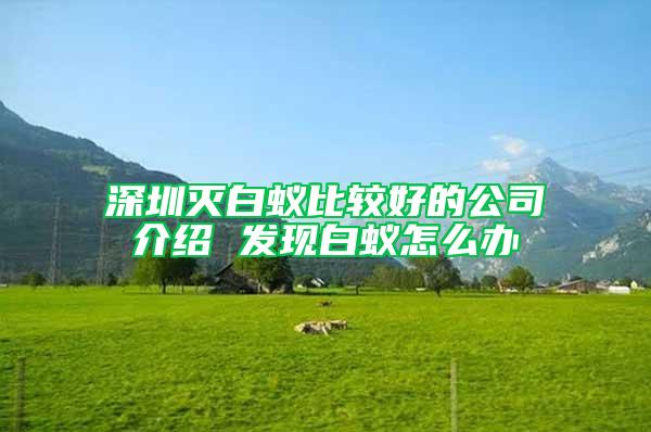 深圳滅白蟻比較好的公司介紹 發(fā)現(xiàn)白蟻怎么辦