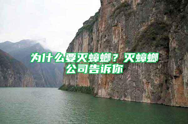 為什么要滅蟑螂？滅蟑螂公司告訴你