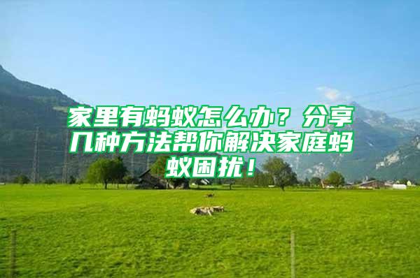 家里有螞蟻怎么辦？分享幾種方法幫你解決家庭螞蟻困擾！