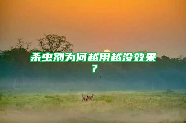 殺蟲劑為何越用越?jīng)]效果？