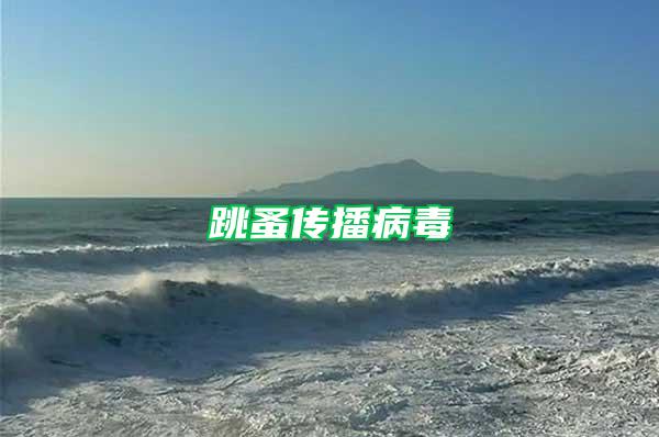 跳蚤傳播病毒