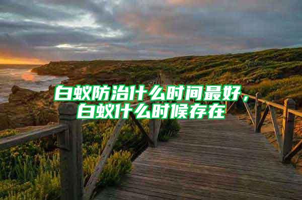 白蟻防治什么時間最好，白蟻什么時候存在