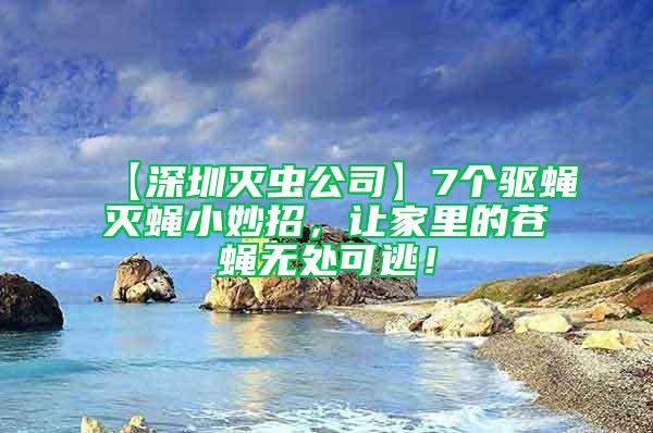 【深圳滅蟲公司】7個(gè)驅(qū)蠅滅蠅小妙招，讓家里的蒼蠅無處可逃！