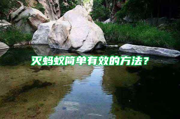 滅螞蟻簡單有效的方法？