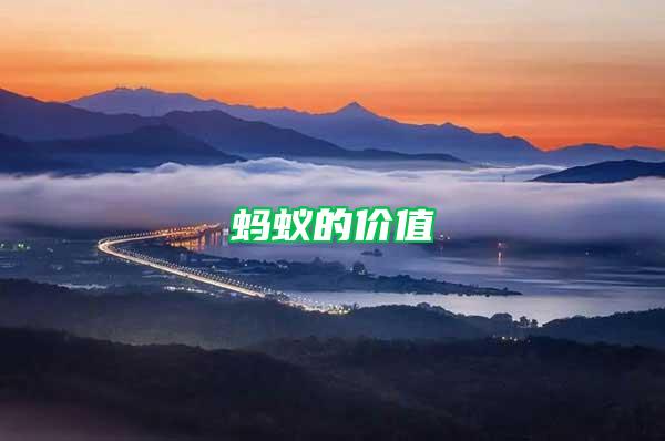 螞蟻的價(jià)值