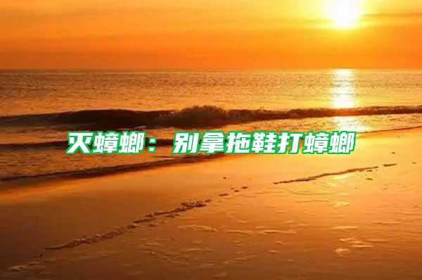 滅蟑螂：別拿拖鞋打蟑螂