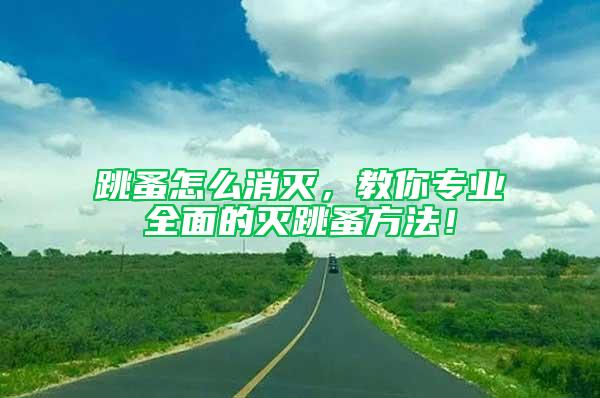 跳蚤怎么消滅，教你專業(yè)全面的滅跳蚤方法！