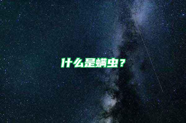 什么是螨蟲？