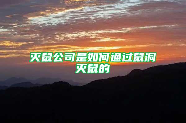 滅鼠公司是如何通過鼠洞滅鼠的