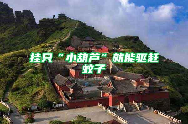 掛只“小葫蘆”就能驅(qū)趕蚊子