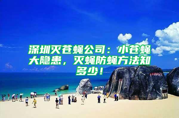 深圳滅蒼蠅公司：小蒼蠅大隱患，滅蠅防蠅方法知多少！