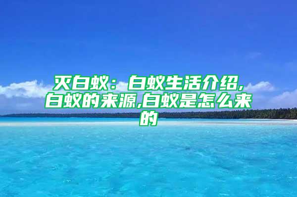 滅白蟻：白蟻生活介紹,白蟻的來(lái)源,白蟻是怎么來(lái)的