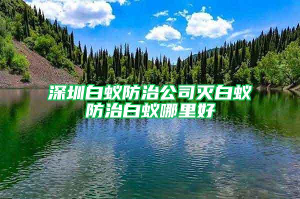 深圳白蟻防治公司滅白蟻防治白蟻哪里好