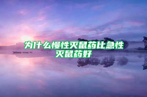 為什么慢性滅鼠藥比急性滅鼠藥好