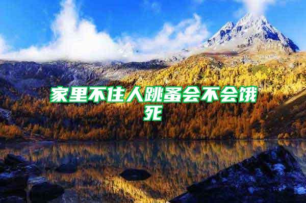 家里不住人跳蚤會不會餓死