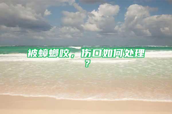 被蟑螂咬，傷口如何處理？
