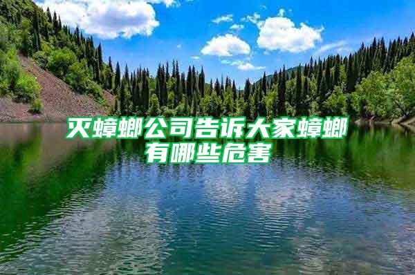 滅蟑螂公司告訴大家蟑螂有哪些危害
