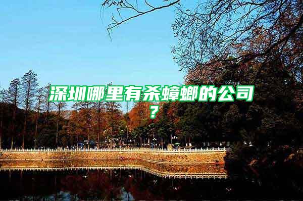 深圳哪里有殺蟑螂的公司？