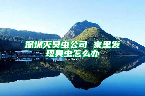 深圳滅臭蟲(chóng)公司 家里發(fā)現(xiàn)臭蟲(chóng)怎么辦