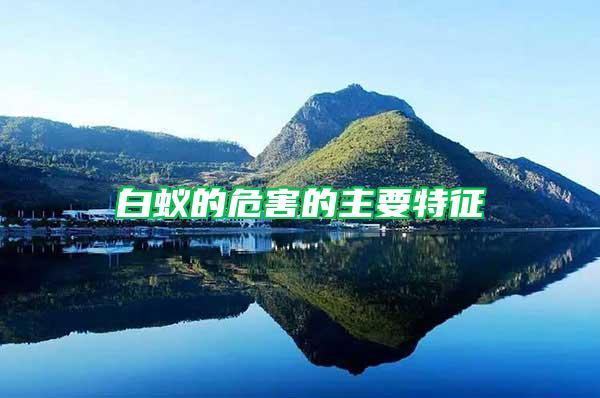 白蟻的危害的主要特征