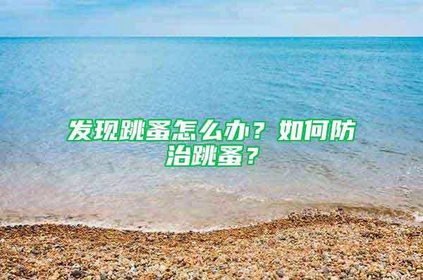 發(fā)現(xiàn)跳蚤怎么辦？如何防治跳蚤？