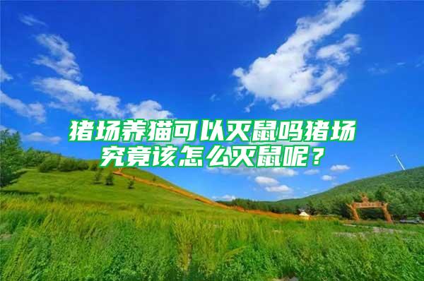 豬場(chǎng)養(yǎng)貓可以滅鼠嗎豬場(chǎng)究竟該怎么滅鼠呢？