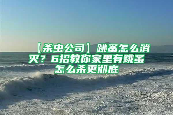 【殺蟲(chóng)公司】跳蚤怎么消滅？6招教你家里有跳蚤怎么殺更徹底