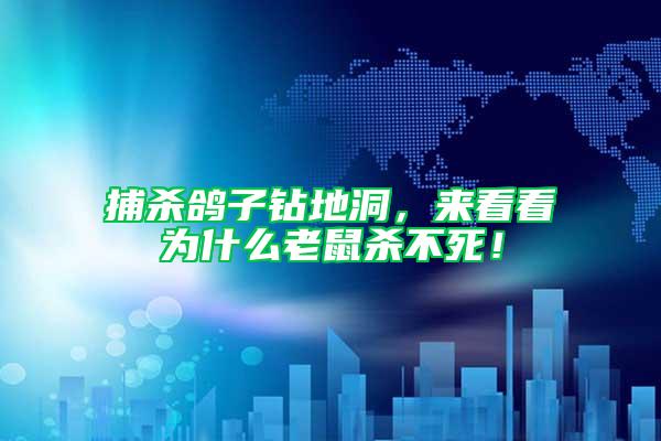 捕殺鴿子鉆地洞，來看看為什么老鼠殺不死！
