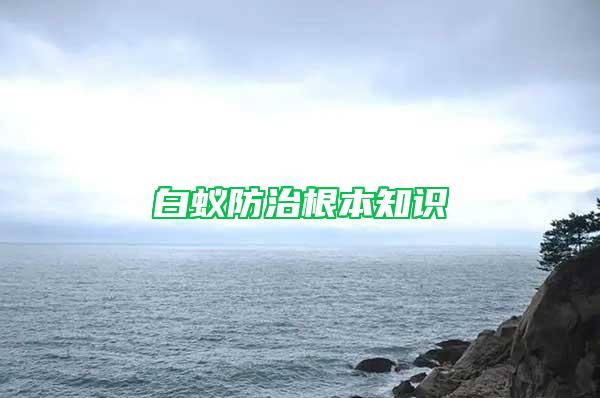 白蟻防治根本知識