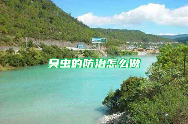 臭蟲的防治怎么做
