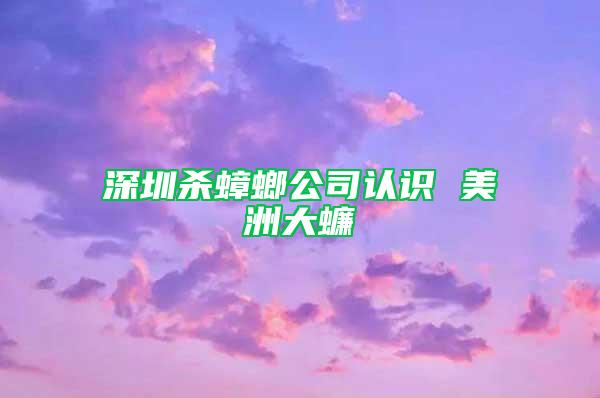 深圳殺蟑螂公司認識 美洲大蠊