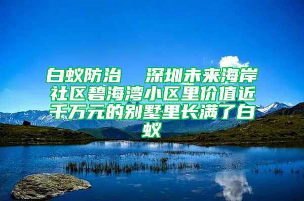 白蟻防治  深圳未來海岸社區(qū)碧海灣小區(qū)里價值近千萬元的別墅里長滿了白蟻