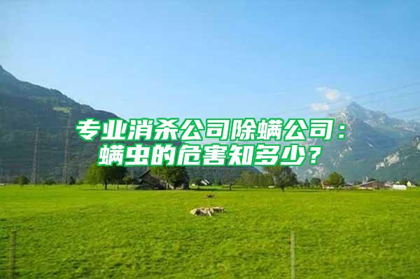專業(yè)消殺公司除螨公司：螨蟲的危害知多少？