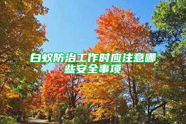 白蟻防治工作時(shí)應(yīng)注意哪些安全事項(xiàng)