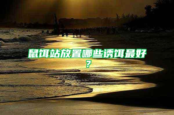 鼠餌站放置哪些誘餌最好？