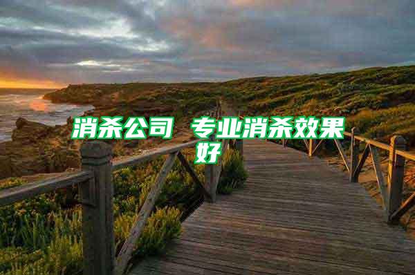 消殺公司 專業(yè)消殺效果好