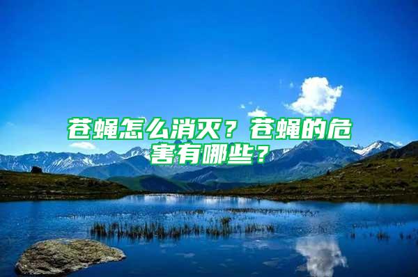 蒼蠅怎么消滅？蒼蠅的危害有哪些？
