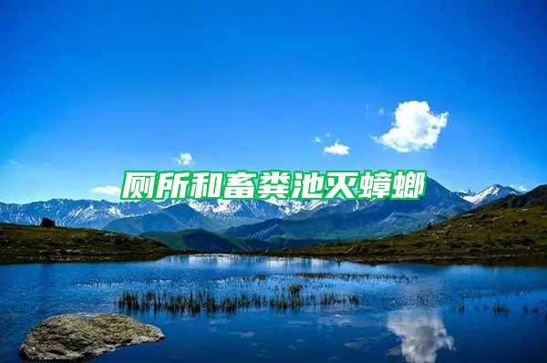 廁所和畜糞池滅蟑螂