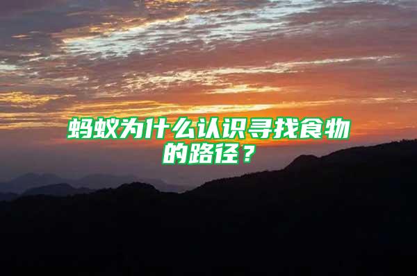螞蟻為什么認識尋找食物的路徑？