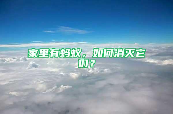 家里有螞蟻，如何消滅它們？