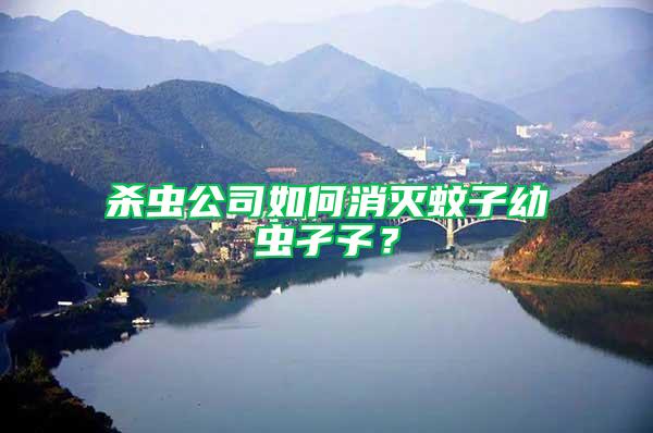殺蟲(chóng)公司如何消滅蚊子幼蟲(chóng)孑孓？